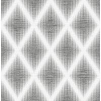 17169868859743