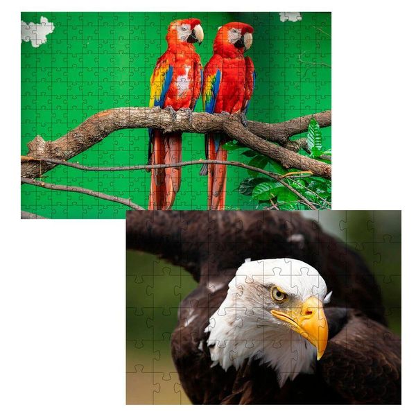 17434267614321 17434267614321