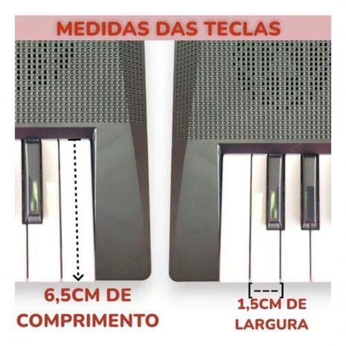17491639152431