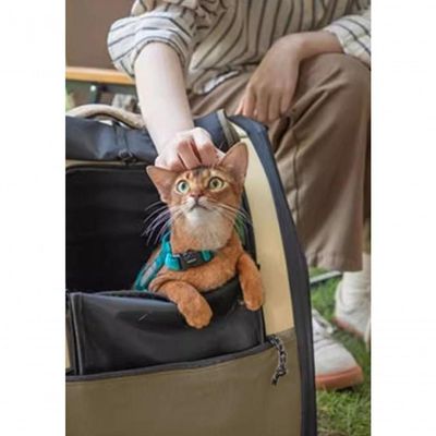 Mochila Para Pet Verde - Unico Verde
