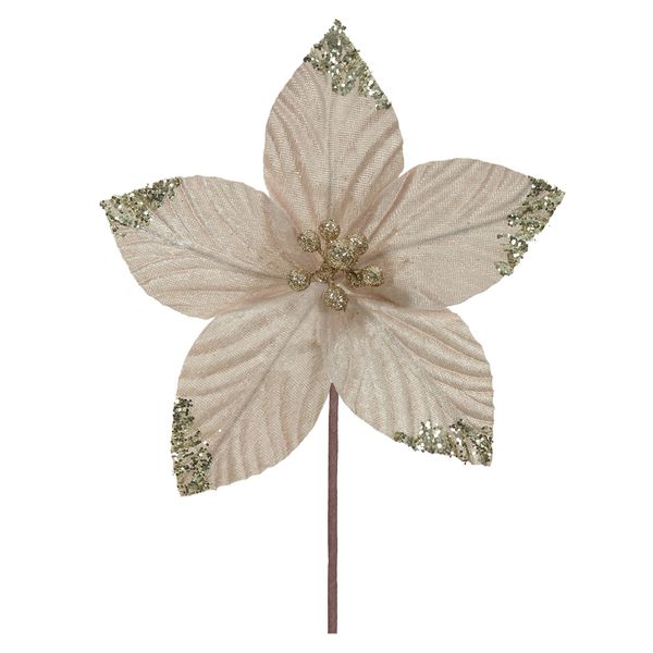H.BICO DE PAPAGAIO (CHAMPANHE) 18cm