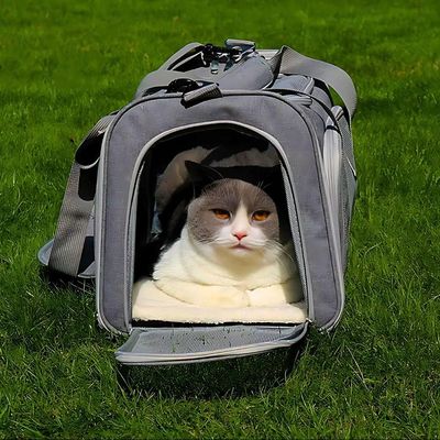 Bolsa De Viagem Verde Para Pet Alças Ajustáveis