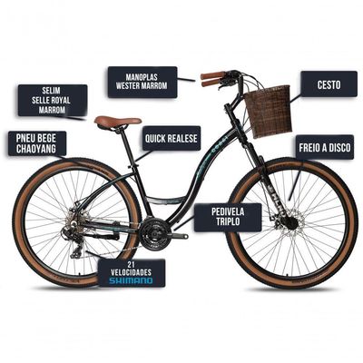Bicicicleta Colli Munique Aluminio Aro 29 Disco-shimano 21v Tamanho Do Quadro 17 Preto