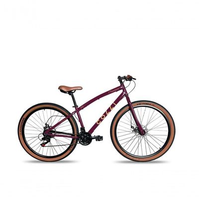 Bicicleta Aro 29 Vancouver 21 Marchas Freio A Disco Colli Roxo
