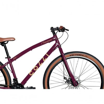 Bicicleta Aro 29 Vancouver 21 Marchas Freio A Disco Colli Roxo