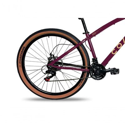 Bicicleta Aro 29 Vancouver 21 Marchas Freio A Disco Colli Roxo
