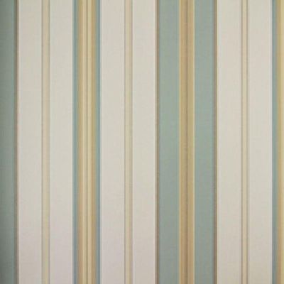 Papel De Parede Listrado Classic Stripes Ct889062 Vinílico - Rolo 10m X 0,53m