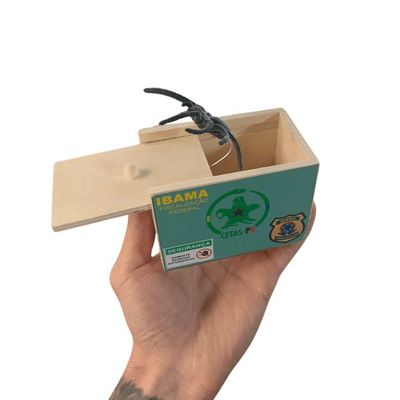 Pegadinha Susto Da Aranha