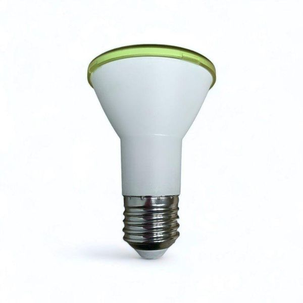 17171882531686 17171882531686