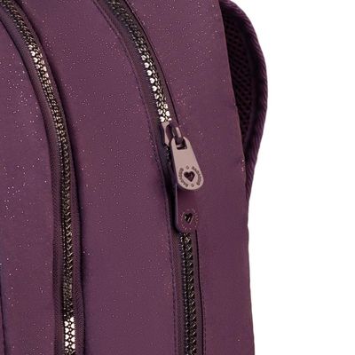Mochila Escolar Feminina Juvenil Crinkle Glitter U / Roxo