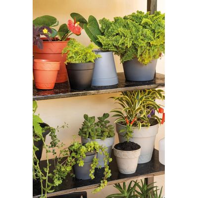 Vaso 2 em 1 17cm Branco Antigo