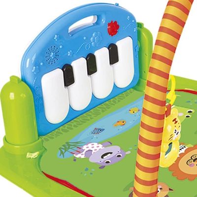 Ginásio De Atividades Com Piano 6843 Buba