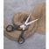 Tesoura para Cabelo Tramontina Supercort 6' em Aço Inox e Po