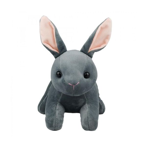 17174200175900 17174200175900