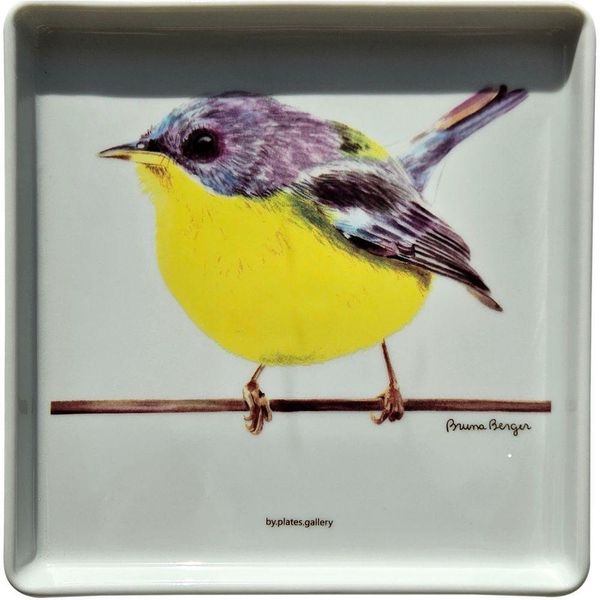 17491607935871 17491607935871