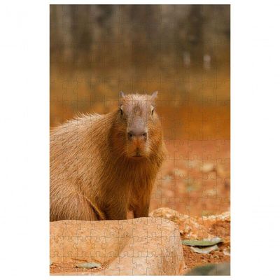 Quebra-Cabeça Capivara 60 Peças para Lazer e Desenvolvimento Infantil