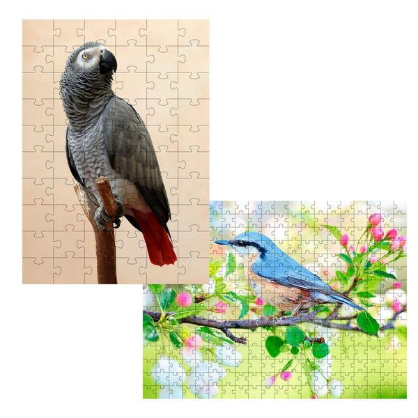 17434261737921 17434261737921