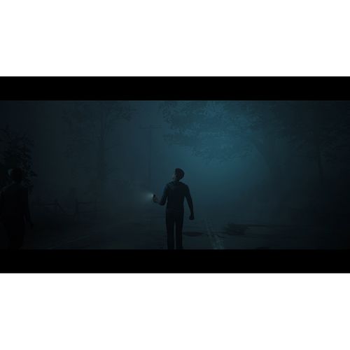 17175398288653