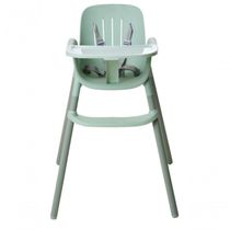 Cadeirinha De Alimentação Burigotto Poke Até 15kg Frosty Green Verde