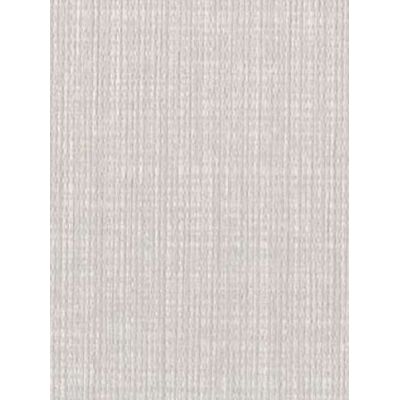 Papel de Parede Max Textura Branco CT11304