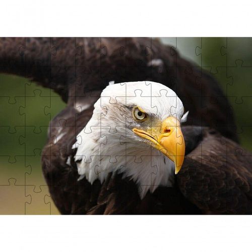 17434262000803