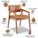 Kit 06 Cadeiras Para Sala De Jantar Estar Living Giorgia B04 Couríssimo Camel