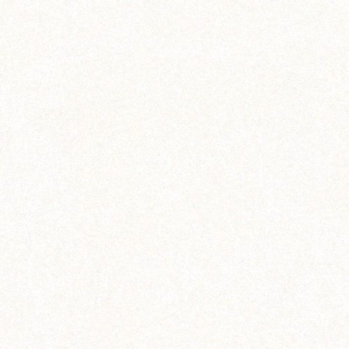 17399950276728