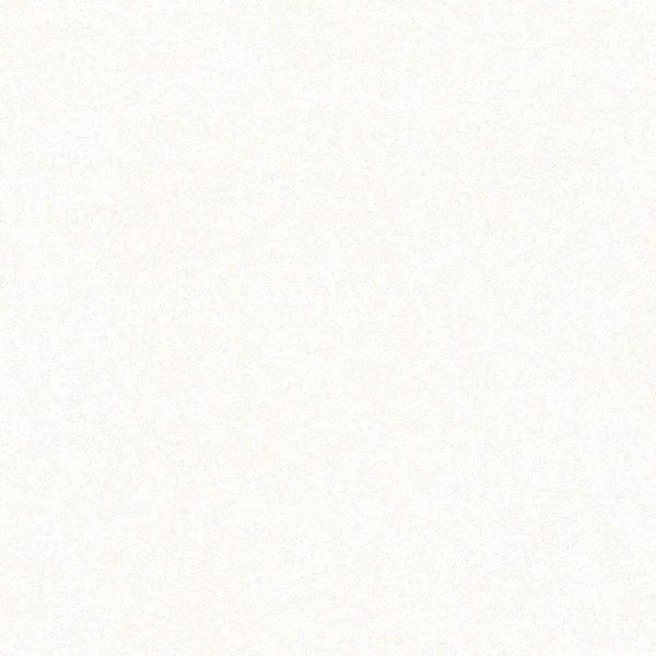 17399950276728
