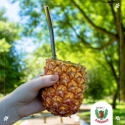 Erva-Mate Para Tererê Abacaxi E Menta 250g Ximango Ximaice