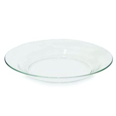 Kit Jogo Prato Fundo Sopa Transparente 10 Peças 22,5cm