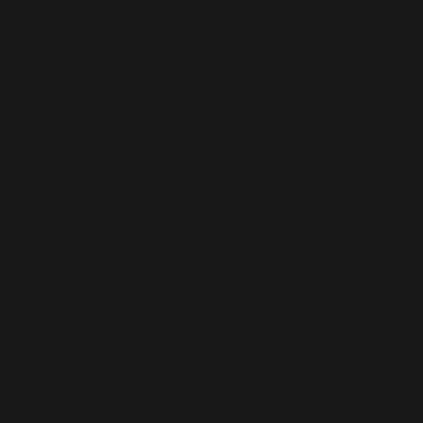 17423053121369