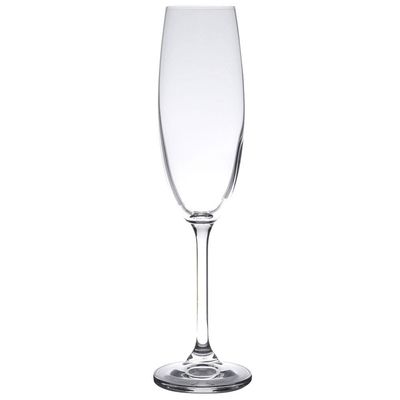Conjunto de Taças para Champanhe Bohemia Colibri 220 ml - 6 Peças Transparente