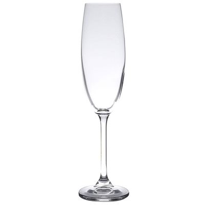 Conjunto de Taças para Champanhe Bohemia Colibri 220 ml - 6 Peças Transparente