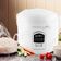 Panela De Arroz Elétrica Britânia 10 Xícaras 4L PA10 Prime 110V