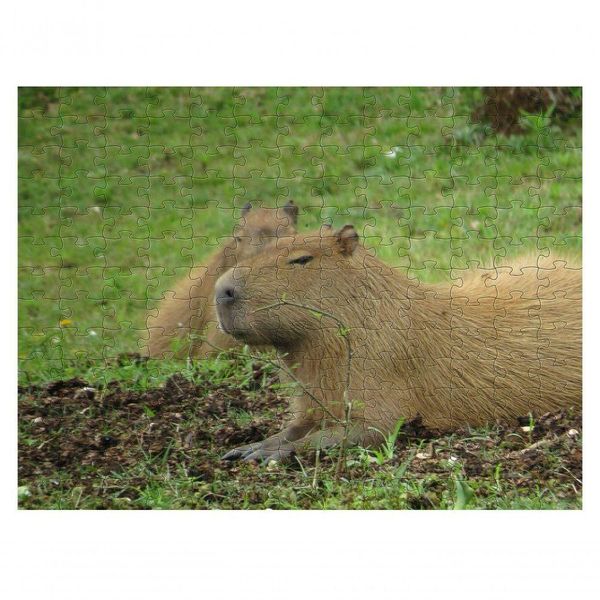 Quebra-cabeça De Mdf Capivara 300 Peças