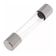 5X Fusivel Vidro Pequeno 10A 5X20Mm Bivolt P/ Estabilizador