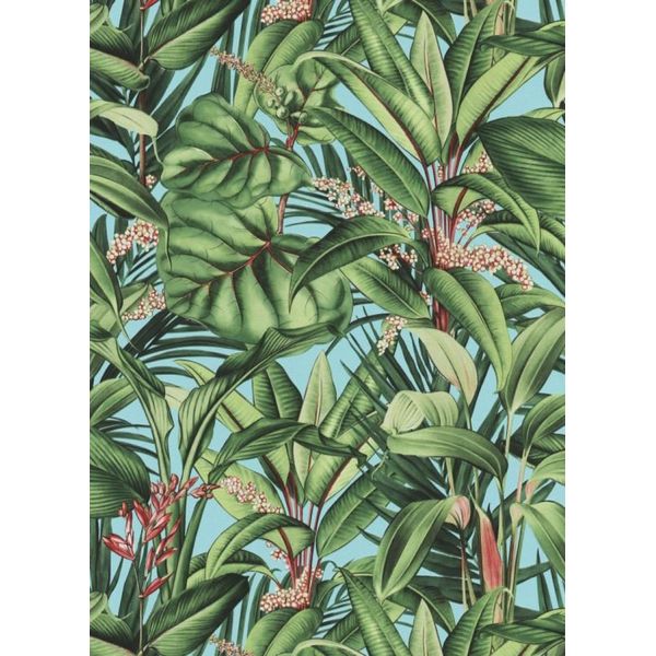 17169186986775 17169186986775