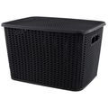 CX ORG SAO BERNARO C TAMPA 20L PT OR29