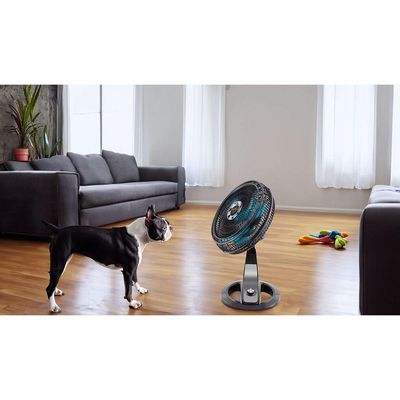 Ventilador Britânia 2 em 1 Tecnologia Maxx Force 174W BVT491 110V