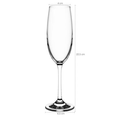 Kit 12 Taças de Champanhe 220ml Espumantes Cristal Copos Titânio Sense