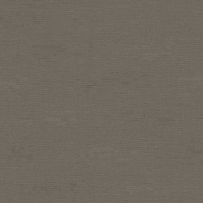 Papel de Parede The Wall 2 Textura Marrom 390977
