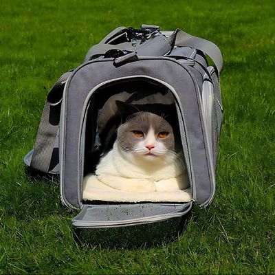 Bolsa De Viagem Rosa Para Pet Alças Ajustáveis