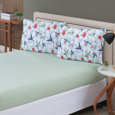 Jogo De Lençol Casal Malha 100% Algodão Com Elástico 3 Peças Verde Claro Estampa Beija Flor