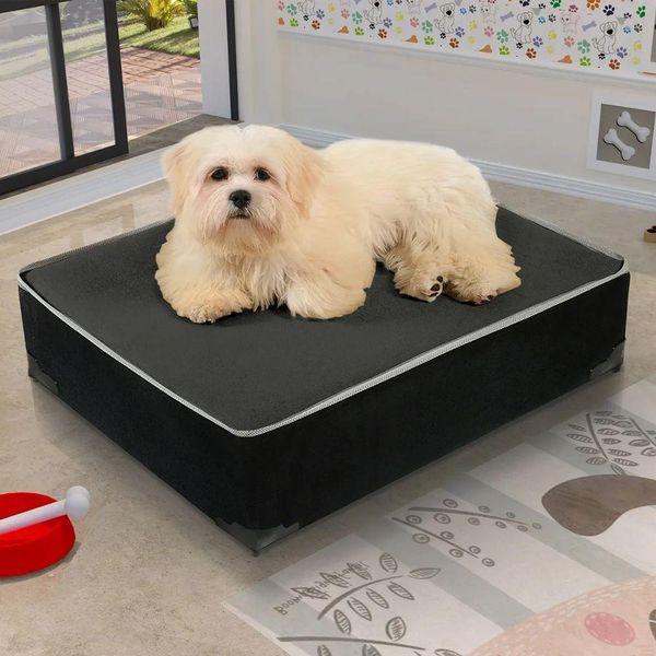 17539744036874 17539744036874