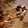 Perfume Jungle By Kenzo Edp Feminino 100ml