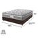 Cama Box Marrom E Colchão Casal Evolution Probel