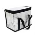 BOLSA TERMICA LE 8L CZ PT 309