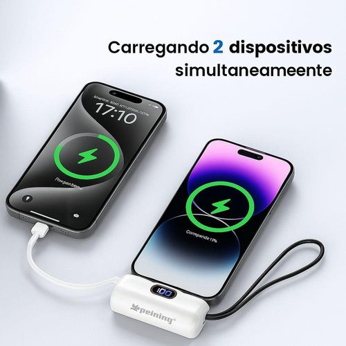 17502941929043