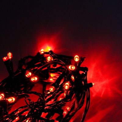 Cordão Com 50 Lampadas De Led Formato Pequena Gota 5 Metros Fio Verde Escuro Vermelho