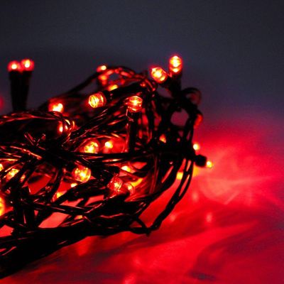 Cordão Com 50 Lampadas De Led Formato Pequena Gota 5 Metros Fio Verde Escuro Vermelho